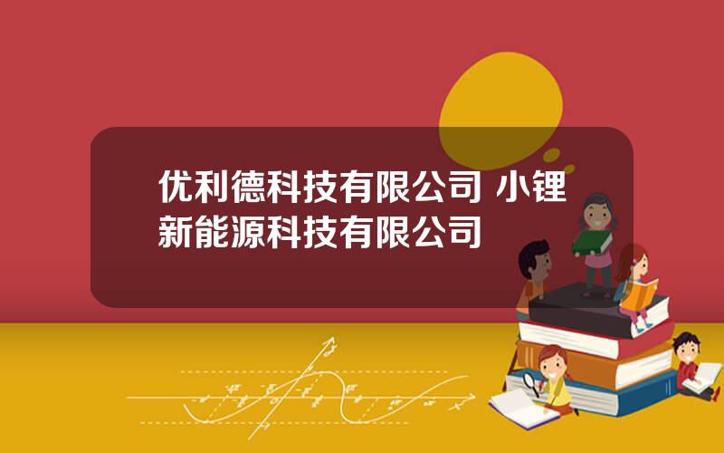 优利德科技有限公司 小锂新能源科技有限公司